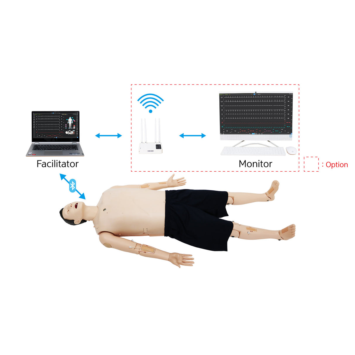 ALS Cardiac Training Model – Lite version