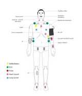 ALS Cardiac Training Model – BT Man