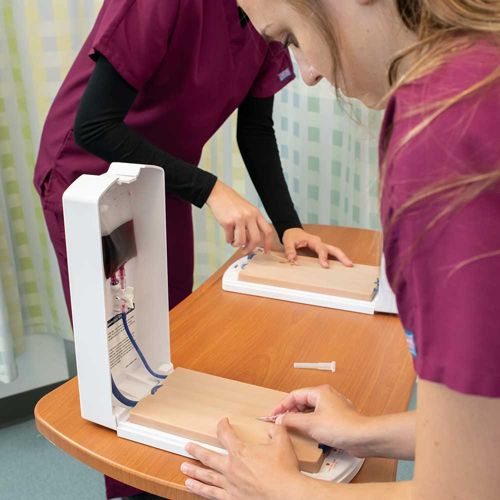 Advanced Four-Vein Venipuncture Training Aid - Latex Free Dermalike Ii™ And Dermalike V™