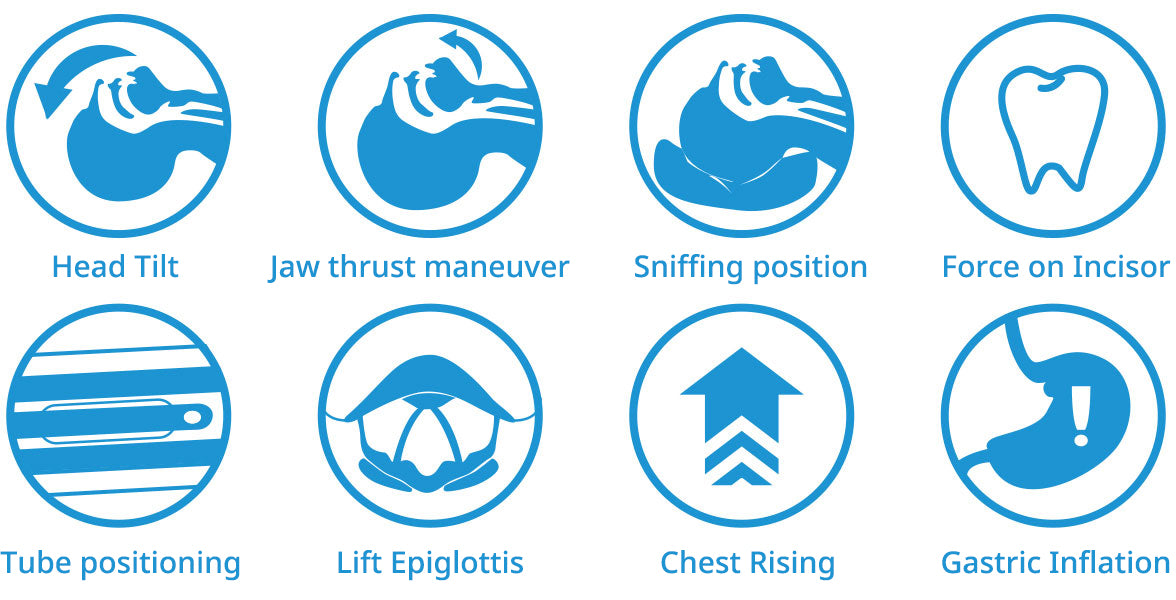 Airway Management Simulator