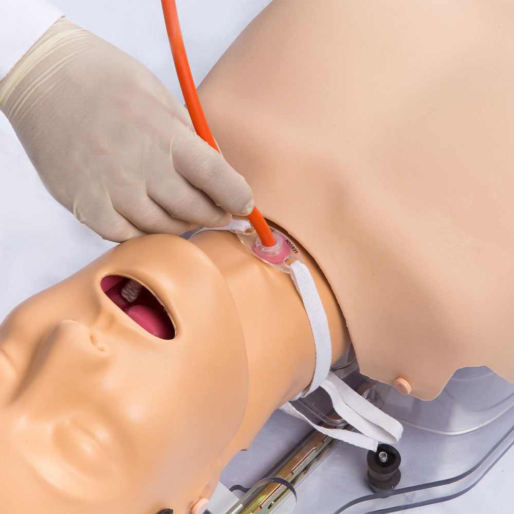 Tube Feeding & Tracheostomy care & Suction Training Model