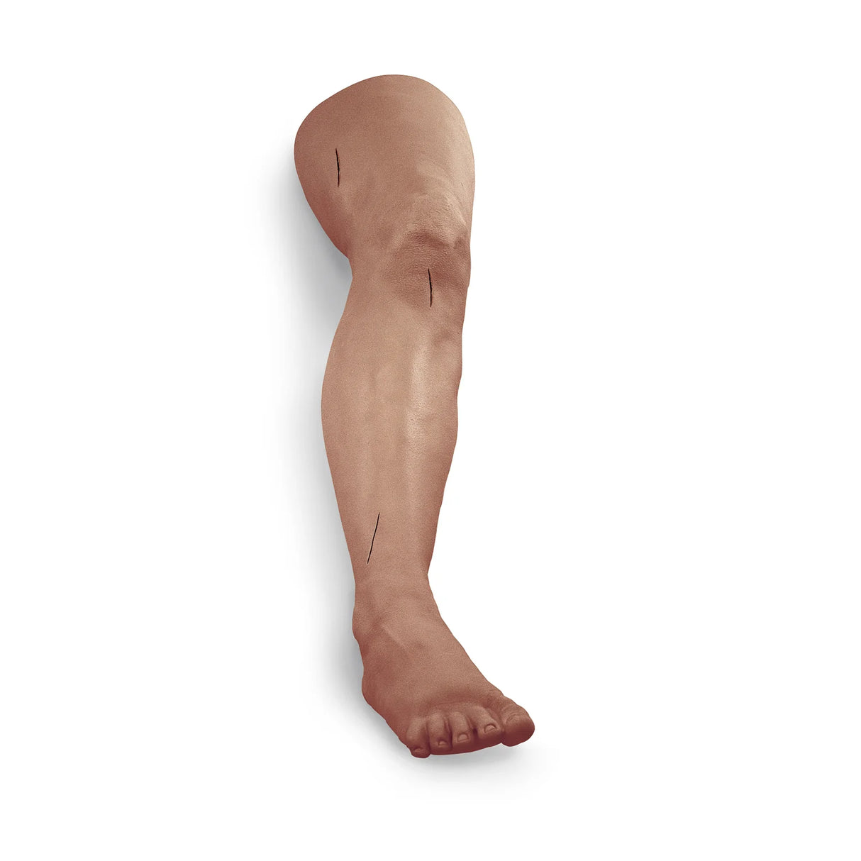 Suture Leg