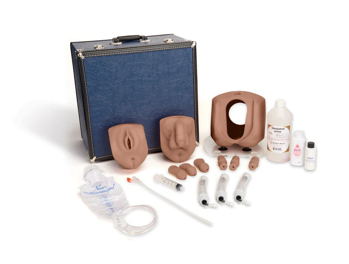 Male/Female Catheterization Simulator