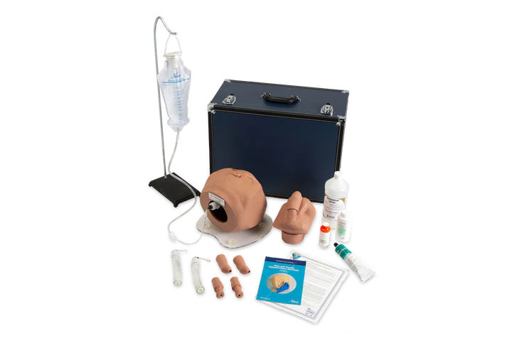 Male/Female Catheterization Simulator
