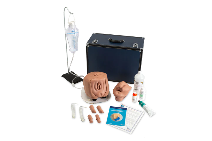 Male/Female Catheterization Simulator