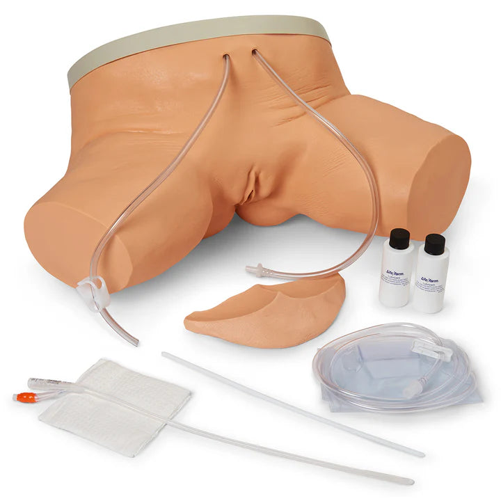 Life/form® Female Catheterization Simulator