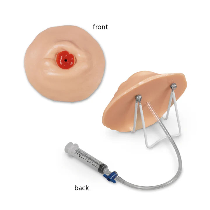 Retracted Ostomy Care Training Model