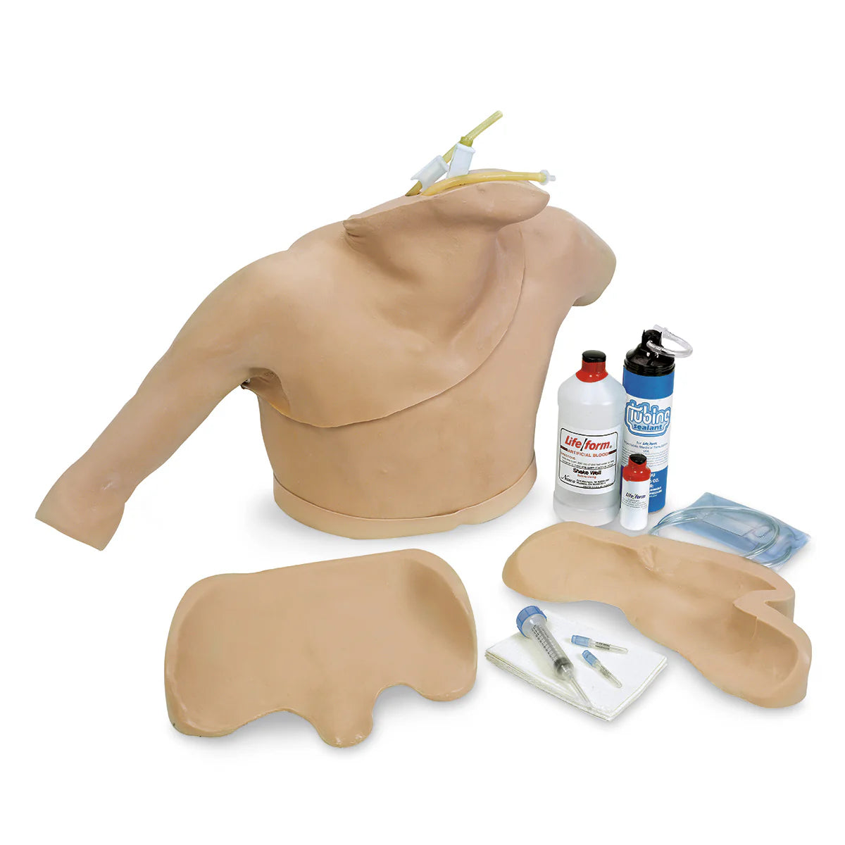 Heart Catheterization Simulator