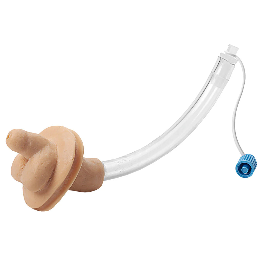 Replacement Genital Insert for Infant Catheterization Trainer