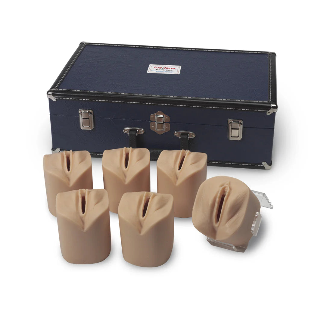 Cervical Dilatation and Effacement Simulators, Set of 6