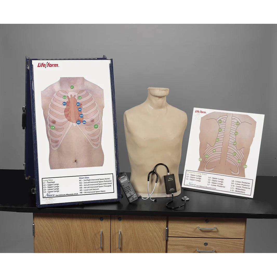 Deluxe Auscultation Station