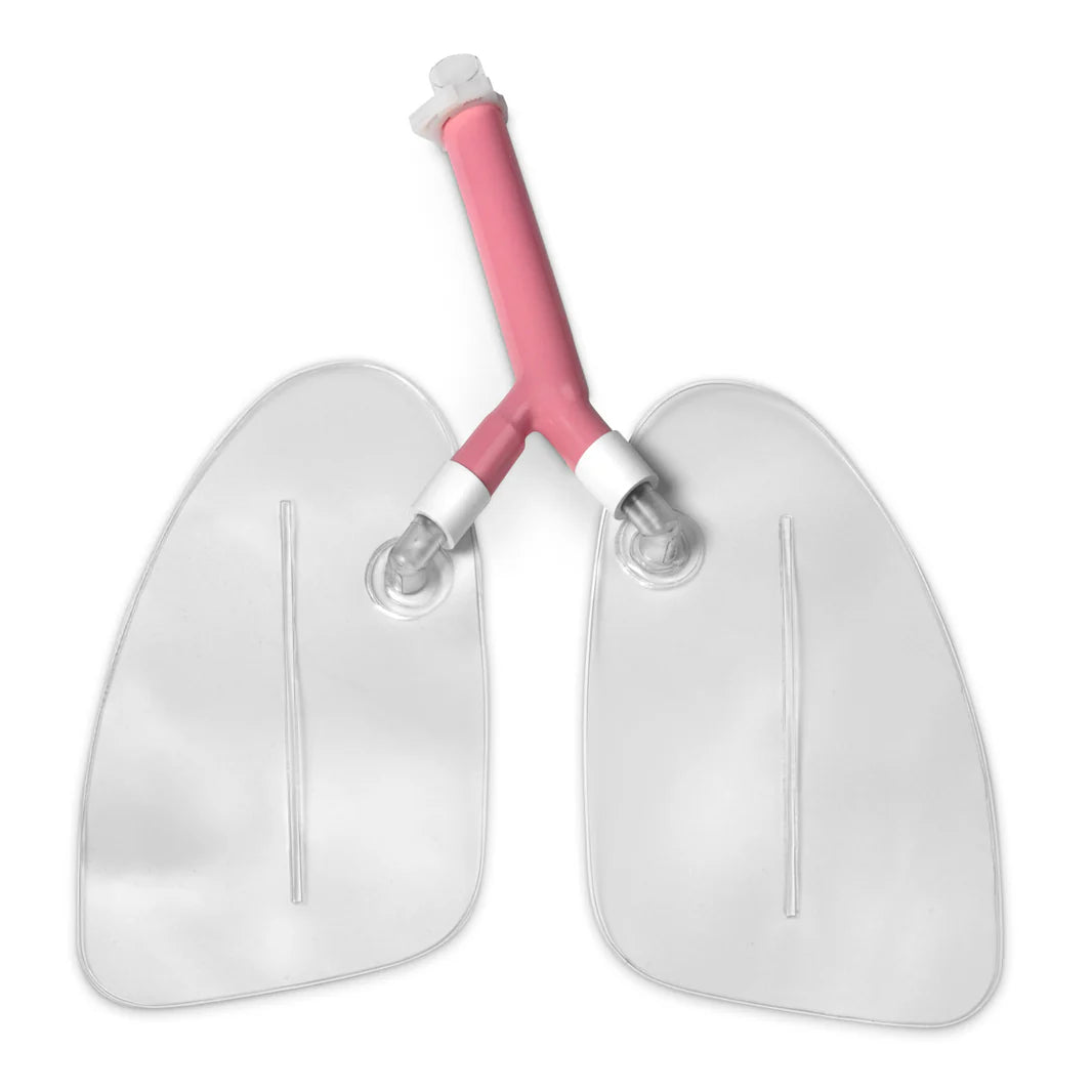 Replacement Kit Intubation Lungs