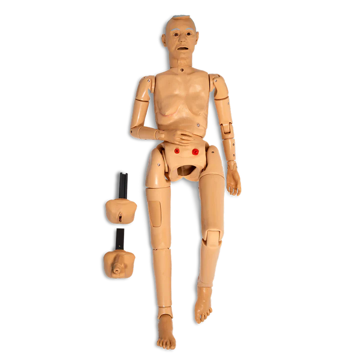 Life/form® GERi Complete Nursing Skills Manikin