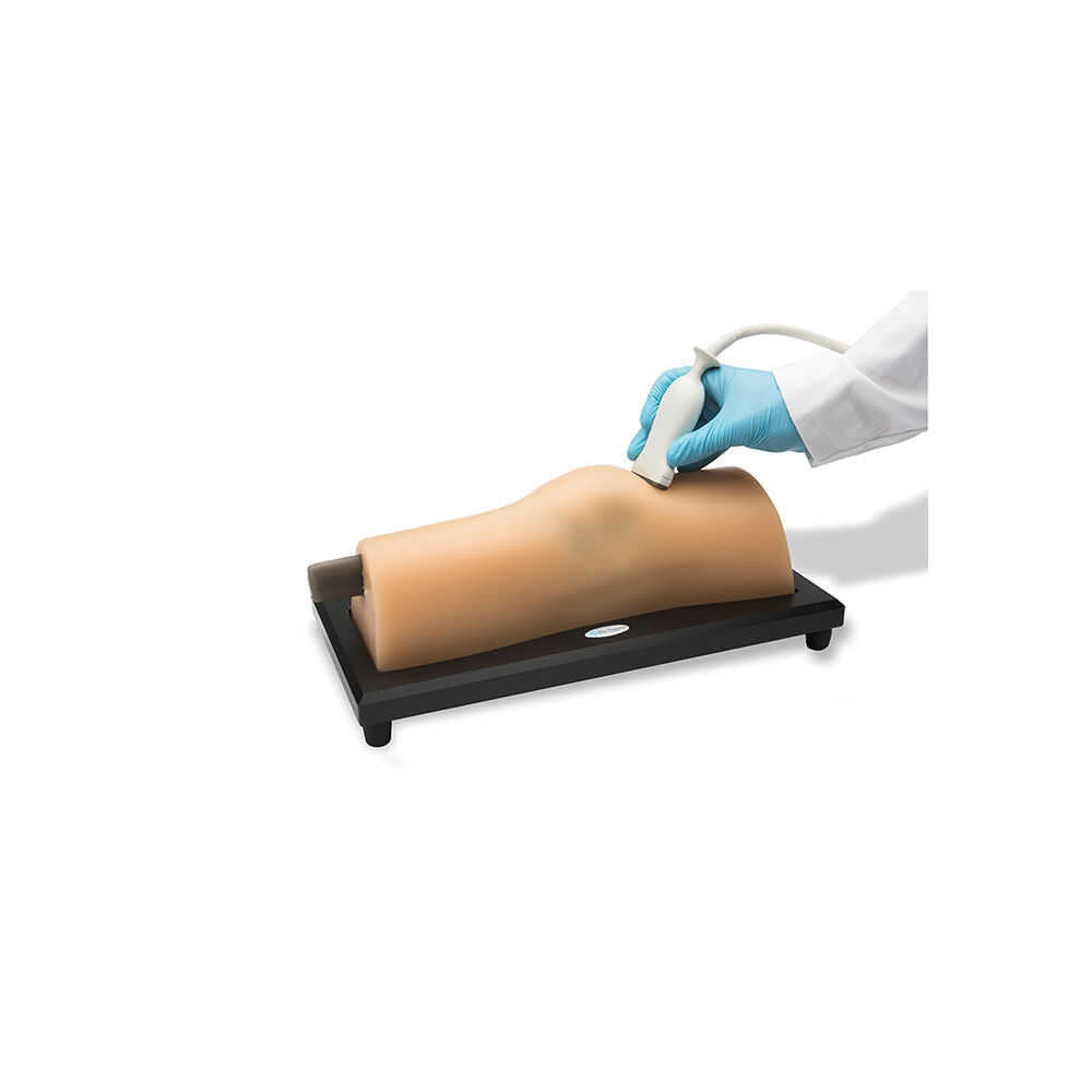 Blue Phantom MSK Knee Ultrasound Training Model