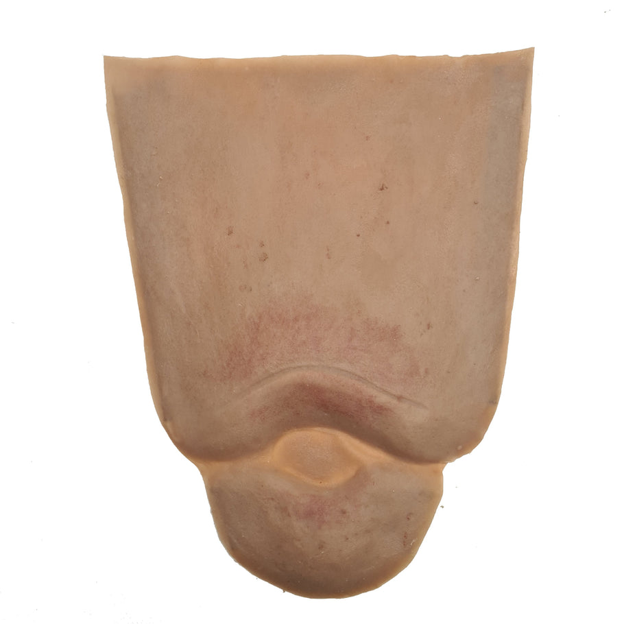 MedixFX Edema Leg – Anchor Simulation