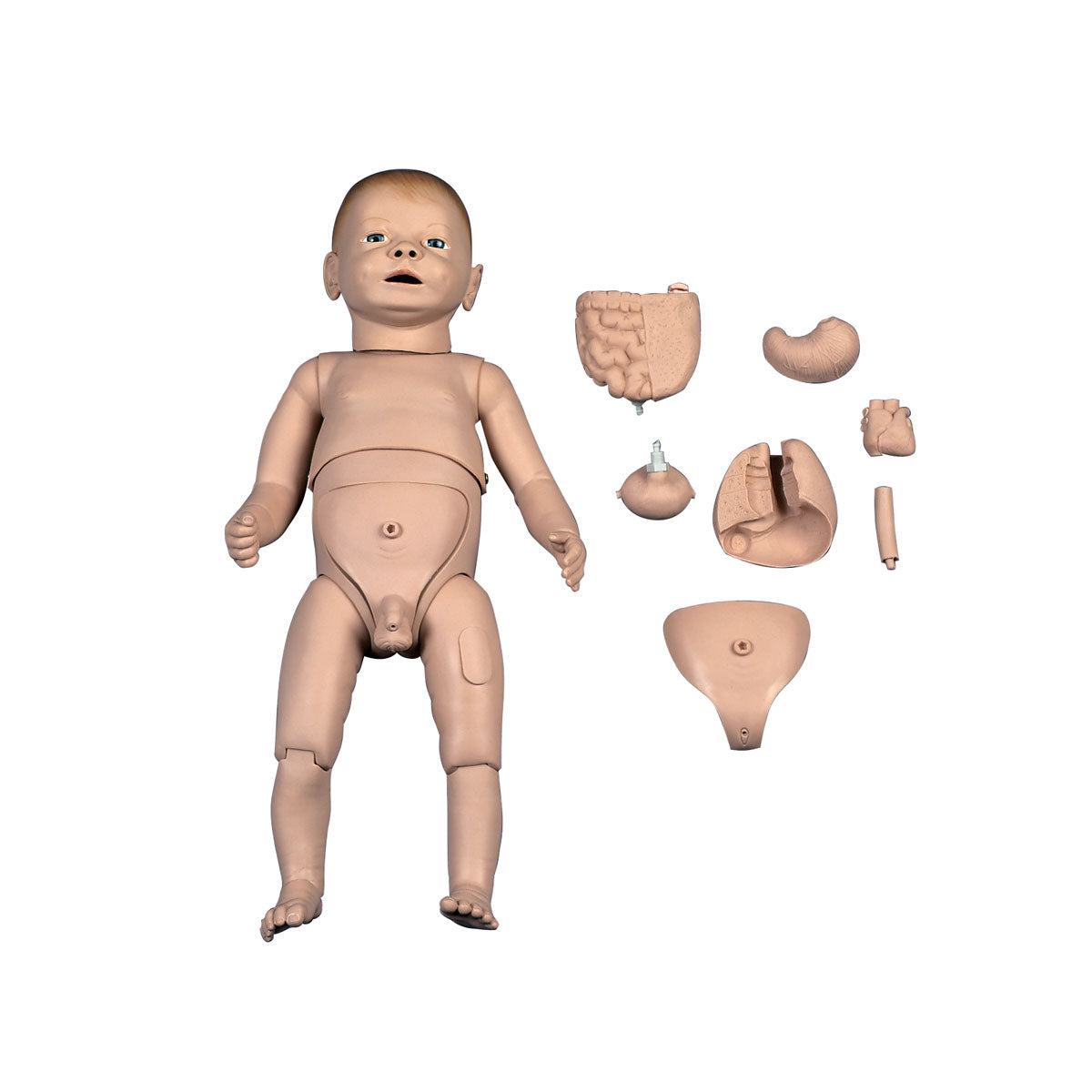 Deluxe Dual-Gender Nurse Training Baby