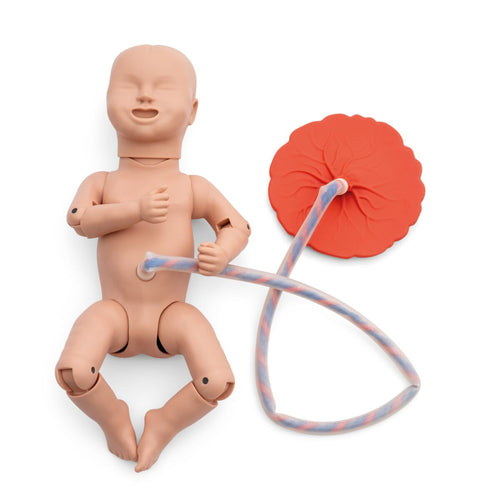 Gynecology & Obstetrics