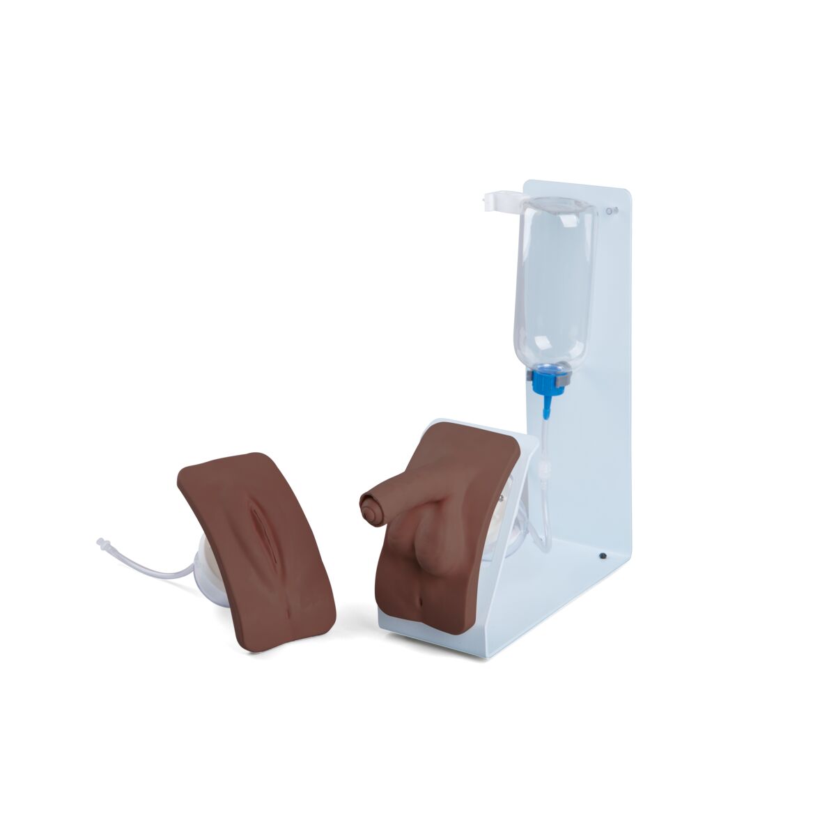 Catheterization Simulator Set BASIC – Anchor Simulation