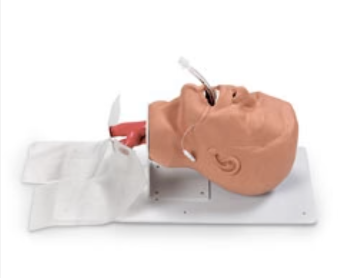 Economy Adult Airway Management Trainer