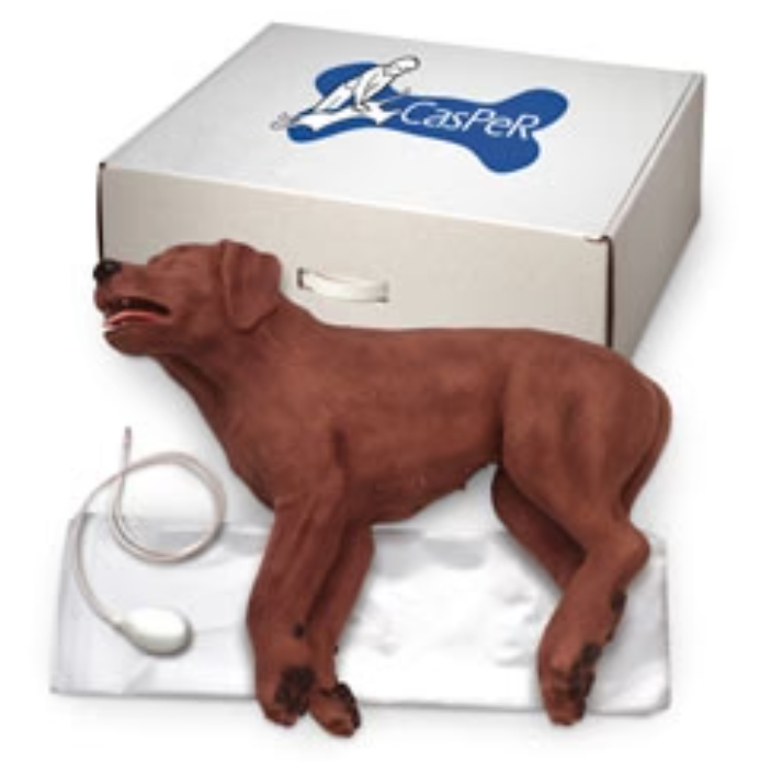 CasPeR The CPR Dog