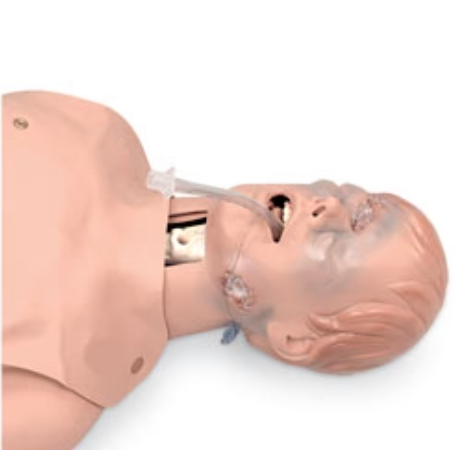 Critical Airway Management Trainer