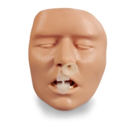 Bls Adult Airway Trainer