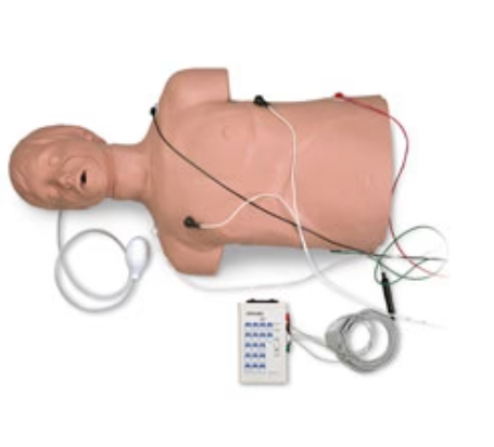 Defibrillation CPR Training Manikin With Carry Bag