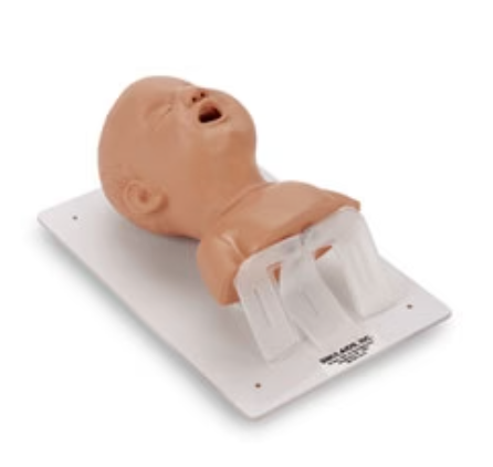 Infant Airway Management Trainer