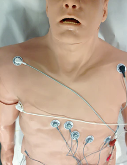 Zoll 12-Lead Arrhythmia Simulator with Manikin Overlay, Large