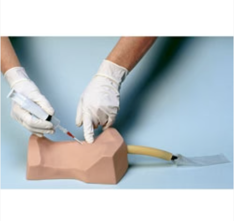 Cricothyrotomy Simulator With 4 Overlay Skins And Carry Bag