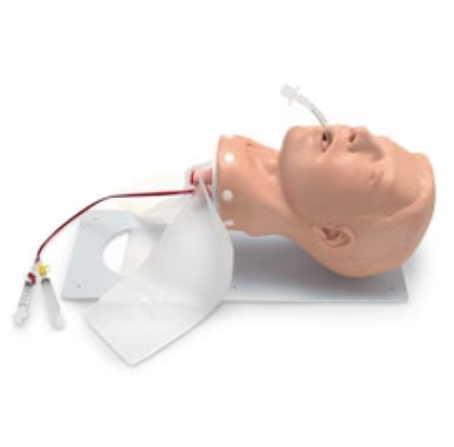 Adult Deluxe Airway Trainer