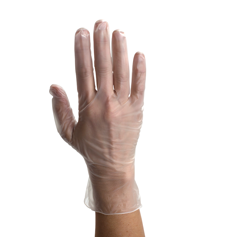 Vinyl Gloves in a Bag, Powder-Free