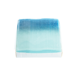 Microscope Slides