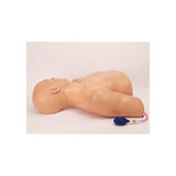 Blue Phantom Gen II Central Line Ultrasound Training Model