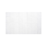 BZK Antiseptic Towelettes