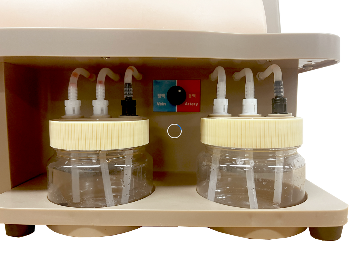 Femoral Artery Puncture Training Model