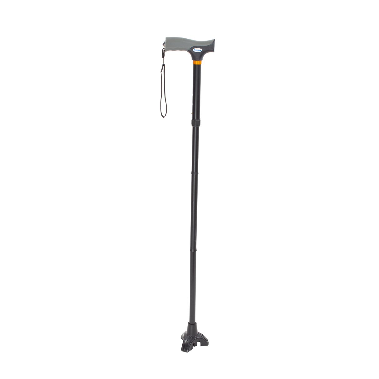Stand Up Cane