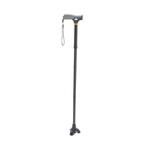 Stand Up Cane