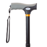 Stand Up Cane