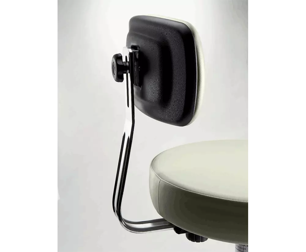 Ritter 271 Adjustable Stool with Back - Auto Locking Casters