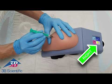 Intramuscular Injection Simulator Upper Arm – Anchor Simulation
