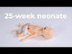 Micro-Preemie Simulator