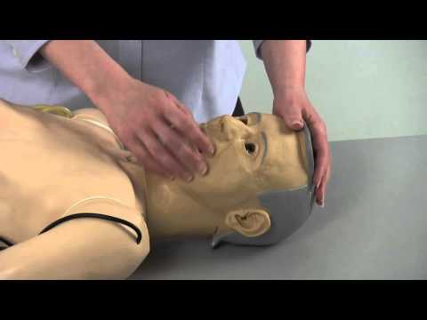 TERi™ Elderly Patient Skills Trainer