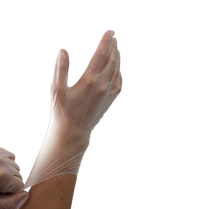 Vinyl Gloves in a Bag, Powder-Free