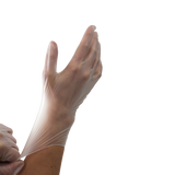 Vinyl Gloves in a Bag, Powder-Free