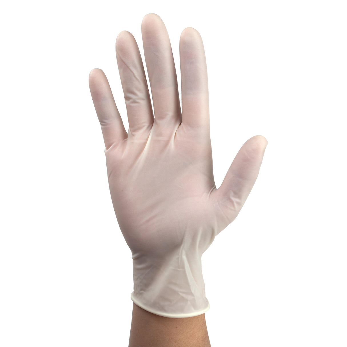 Powder-Free Plus Latex Exam Gloves