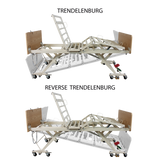 Bariatric HD Long-Term Care Bed DB300