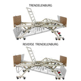 Bariatric HD Long-Term Care Bed DB300