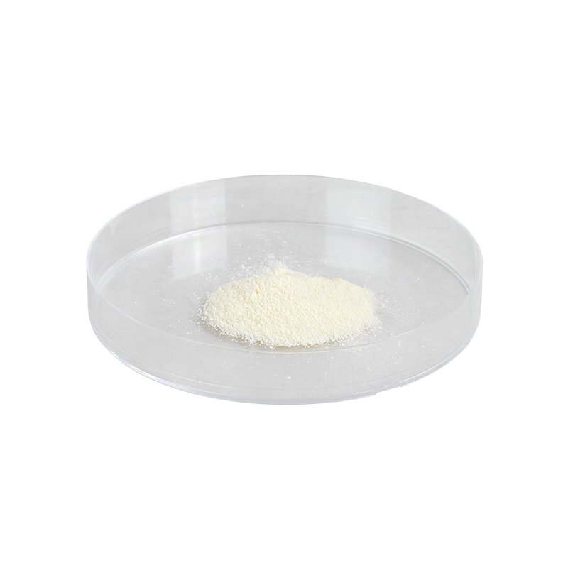 DynaCol Bovine Collagen Powder - 1 gm