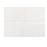 Personal Cleansing Washcloths (Dry Wipes)